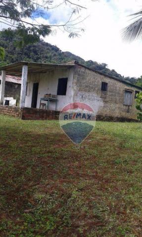 Fazenda à venda em una. - Foto 8