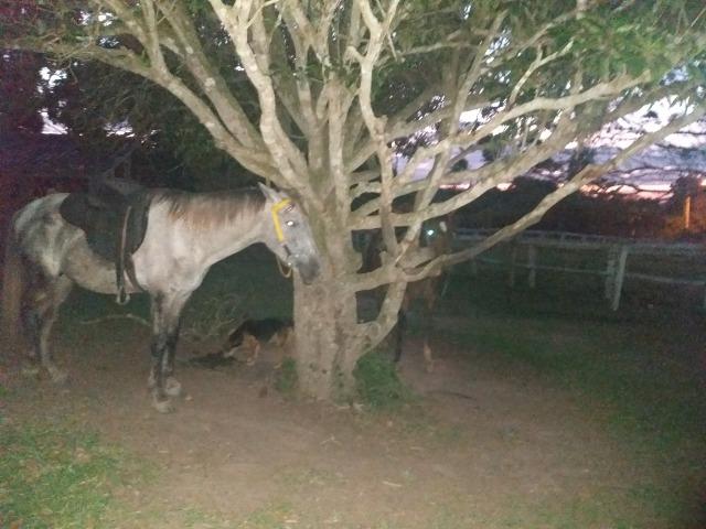 Sitio Turismo Rural na Baia Formosa em Buzios - Foto 16