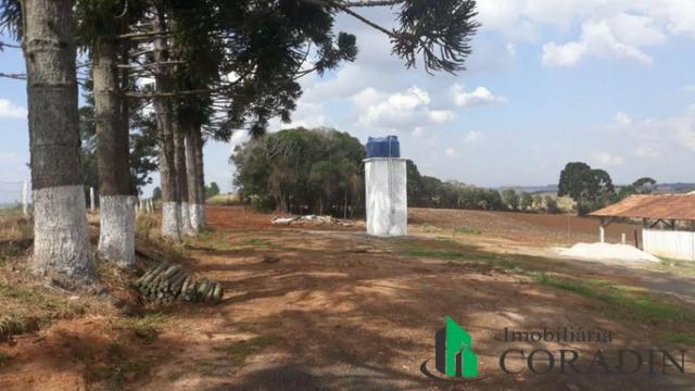 Chácara em Ipiranga- PR - Foto 4