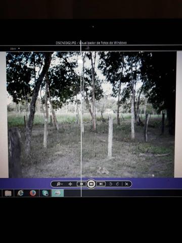 Vendo fazenda em Nossa Senhora do Livramento MT - Foto 8