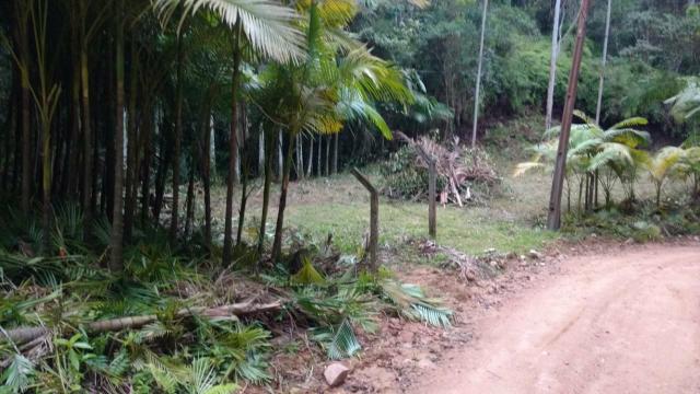 Vendo terreno no gasparinho R$ 42.000,00 - Foto 5