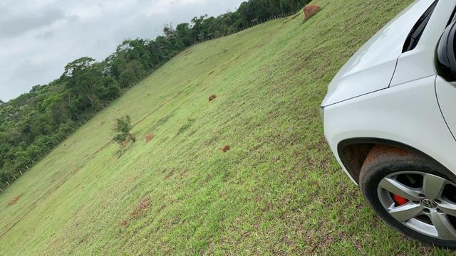 Lotes de terrenos com 5 mil metros - ideal para sua chacara,preço indiscutivel!!! - Foto 10