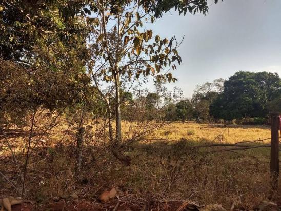 Chácara à venda, 4000 m² por r$ 230.000 - san diego - goianira/go - Foto 3