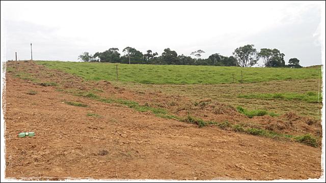 Vendo meu terreno em Ibiúna - Foto 4