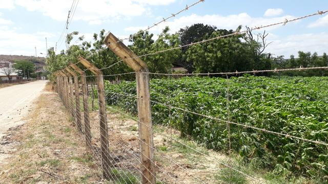 Terreno na beira do rio - Foto 12