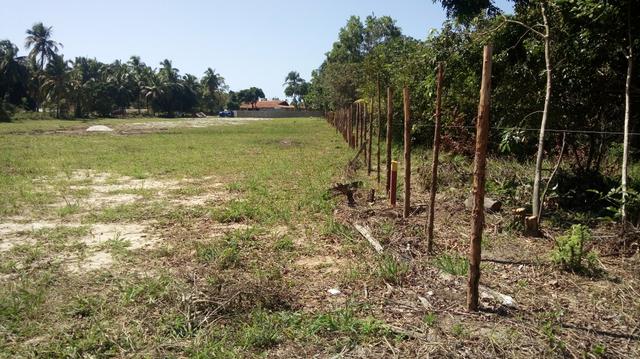 Excelente terreno em Paripueira - Foto 5