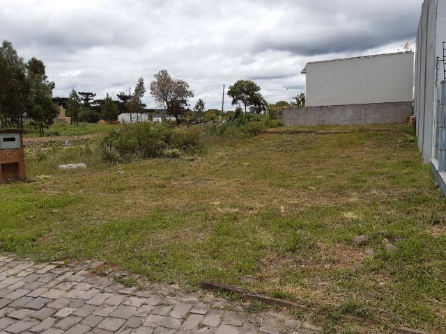 Terreno no são Luis da sexta légua Rua - Foto 2