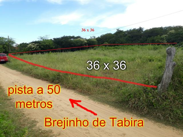 Terreno - Foto 5