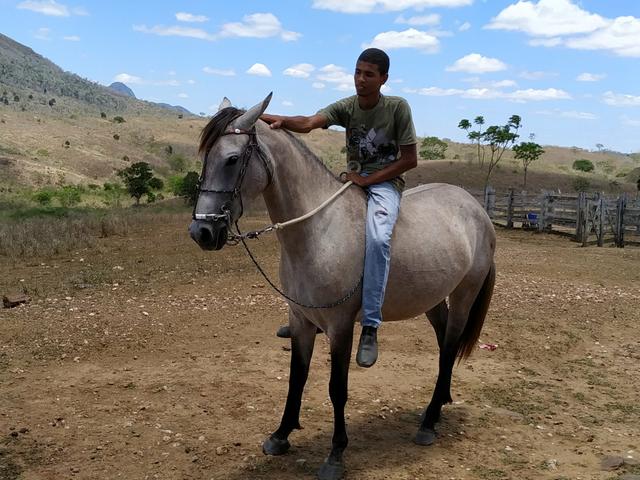 Egua - Foto 5