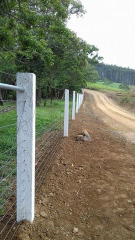 Fazenda 15 alqueires - Foto 16