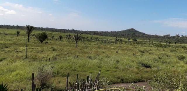 Terreno - Foto 5