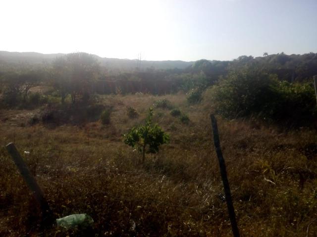 Vendo lote em Pirangir praia - Foto 3