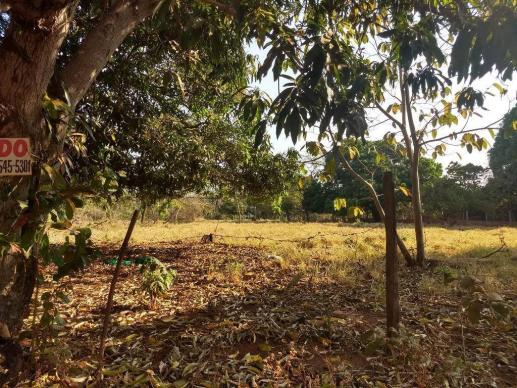 Chácara à venda, 4000 m² por r$ 230.000 - san diego - goianira/go - Foto 5