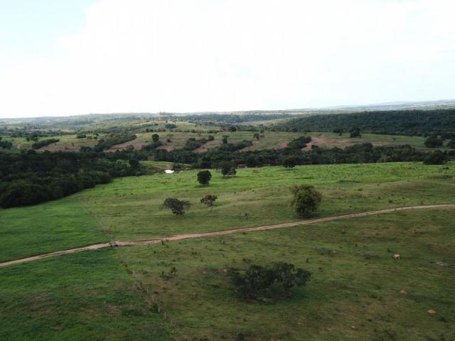 35 Alq. Beira Rio. Morrinhos-GO. Boa de Terra e Água! - Foto 6
