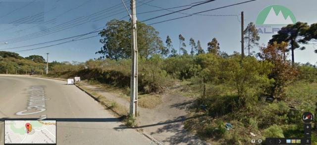 Selecione residencial à venda, vila feliz, almirante tamandaré. - Foto 2