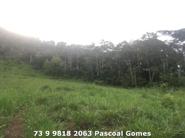 Fazenda a venda Bahia 30 hectares - Foto 4