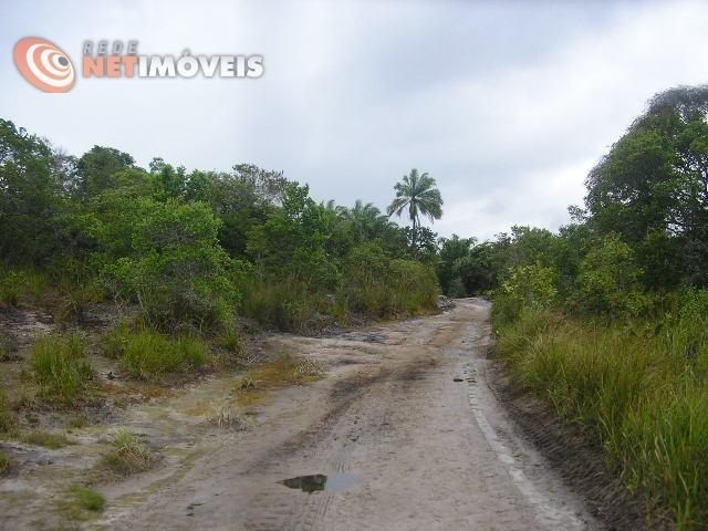 Fazenda com 52,5 Hectares com Fábrica de Azeite de Dendê à Venda na Ilha de Boipeba 402074 - Foto 4