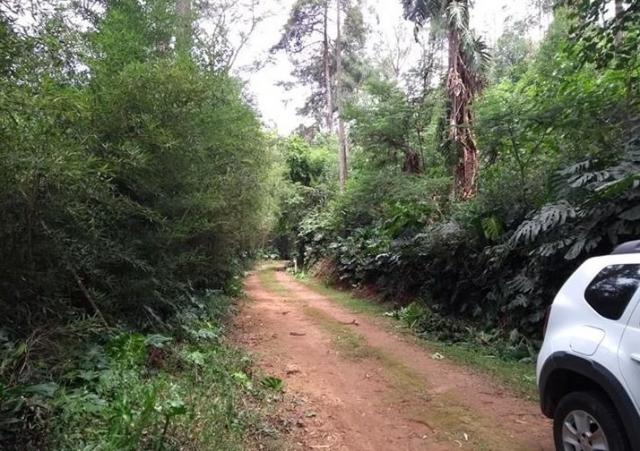 Terreno, Vista Alegre, Teresópolis-RJ - Foto 2