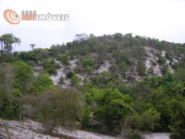 Fazenda com 52,5 Hectares com Fábrica de Azeite de Dendê à Venda na Ilha de Boipeba 402074 - Foto 8