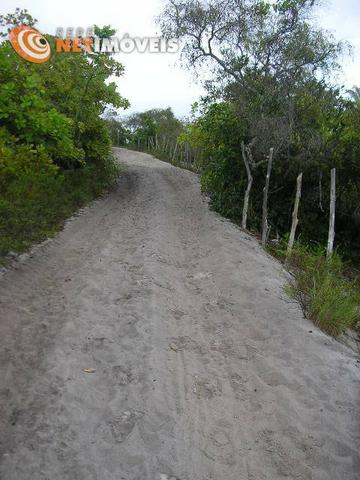 Fazenda com 52,5 Hectares com Fábrica de Azeite de Dendê à Venda na Ilha de Boipeba 402074 - Foto 7