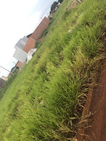Vendo terreno Vival dos Ipês - Foto 3