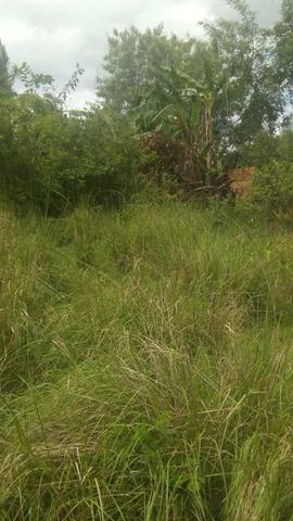 Terreno - Foto 2
