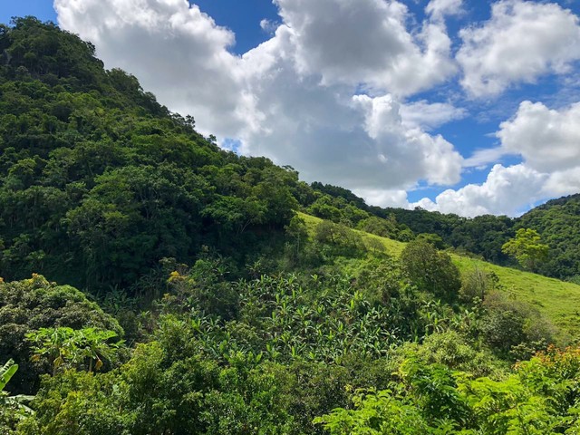 Sitio com 7|5 Hectares próximo a Cariacica sede| Região de DUAS BOCAS