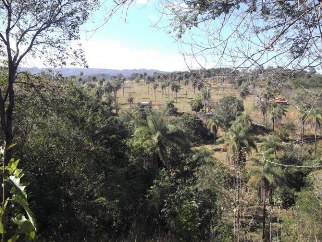 Sitio de 1.500m² Serra do Cipó (Temos varias opções). - Foto 2