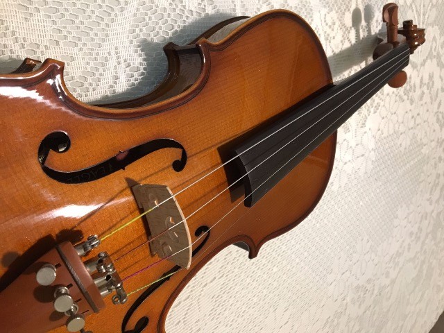 Violino  - Foto 6