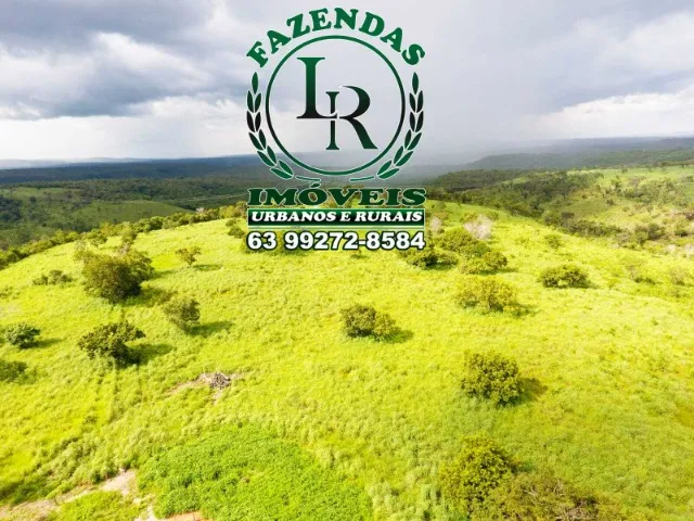 Fazenda 28 Alqueires Próximo a Palmas-To