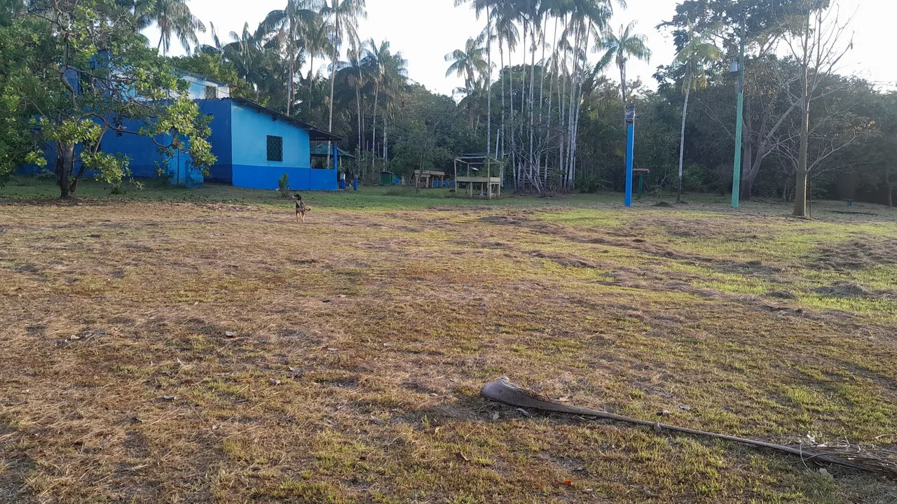 Vende-se excelente sitio