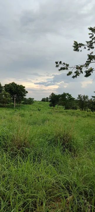 Chácara em buriti de Goiás  - Foto 3