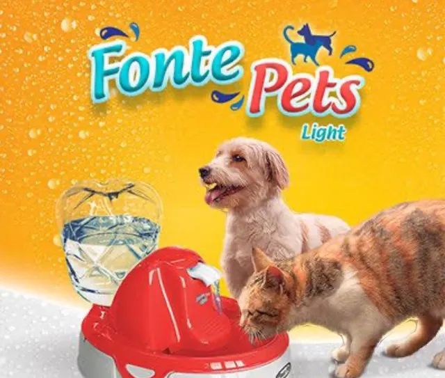 Fonte para Gato - Foto 4