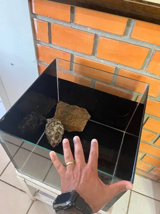 Vendo Aquaterrario Completo  - Foto 2