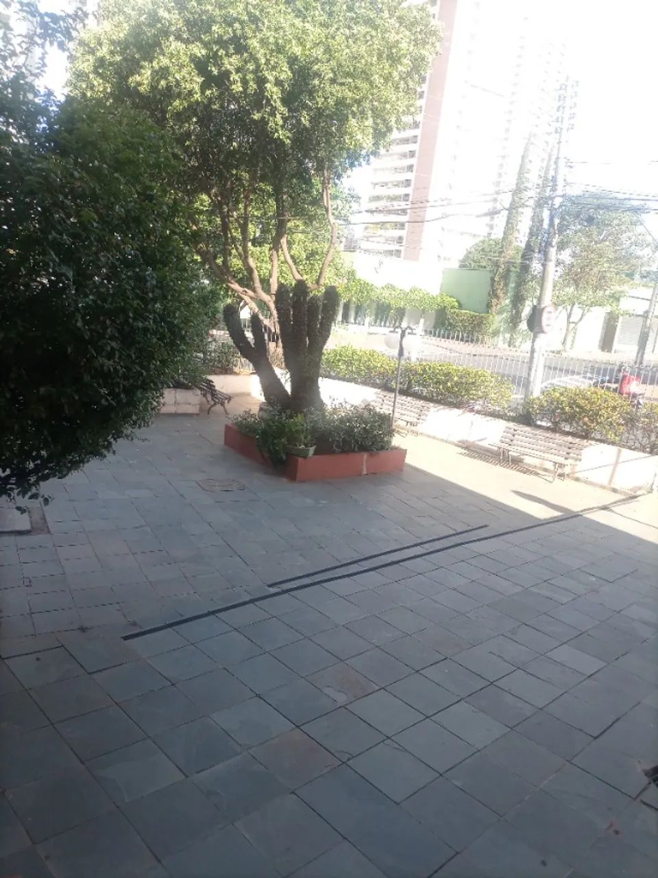 Foto - Goiânia - Setor Pedro Ludovico