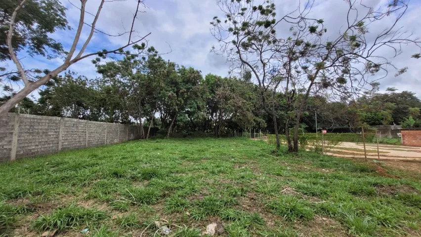 Lote com 1.156 m², excelente topografia, c/ projet