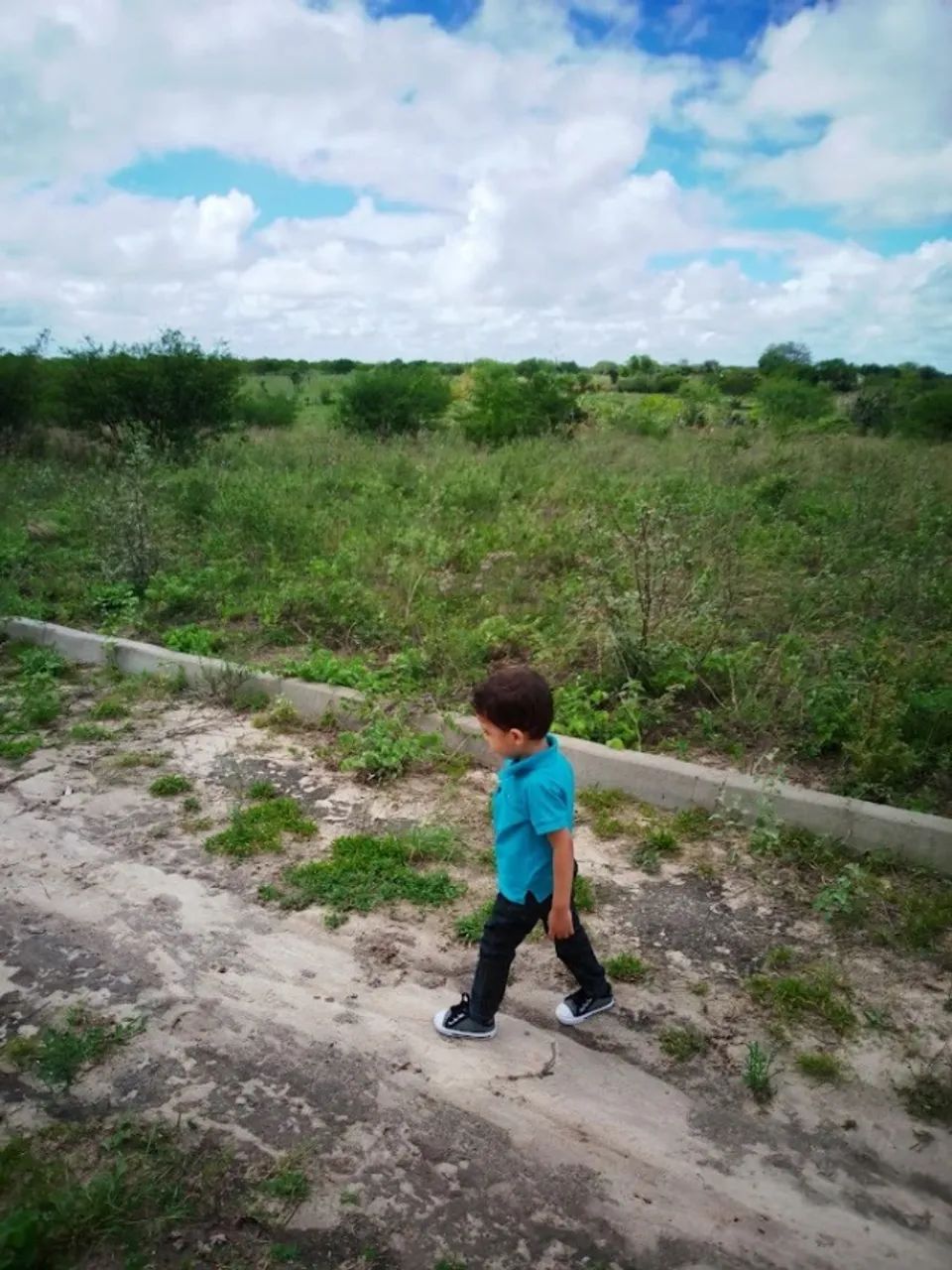  Sítio no Ponto da Pinha, Retirolândia - Foto 3