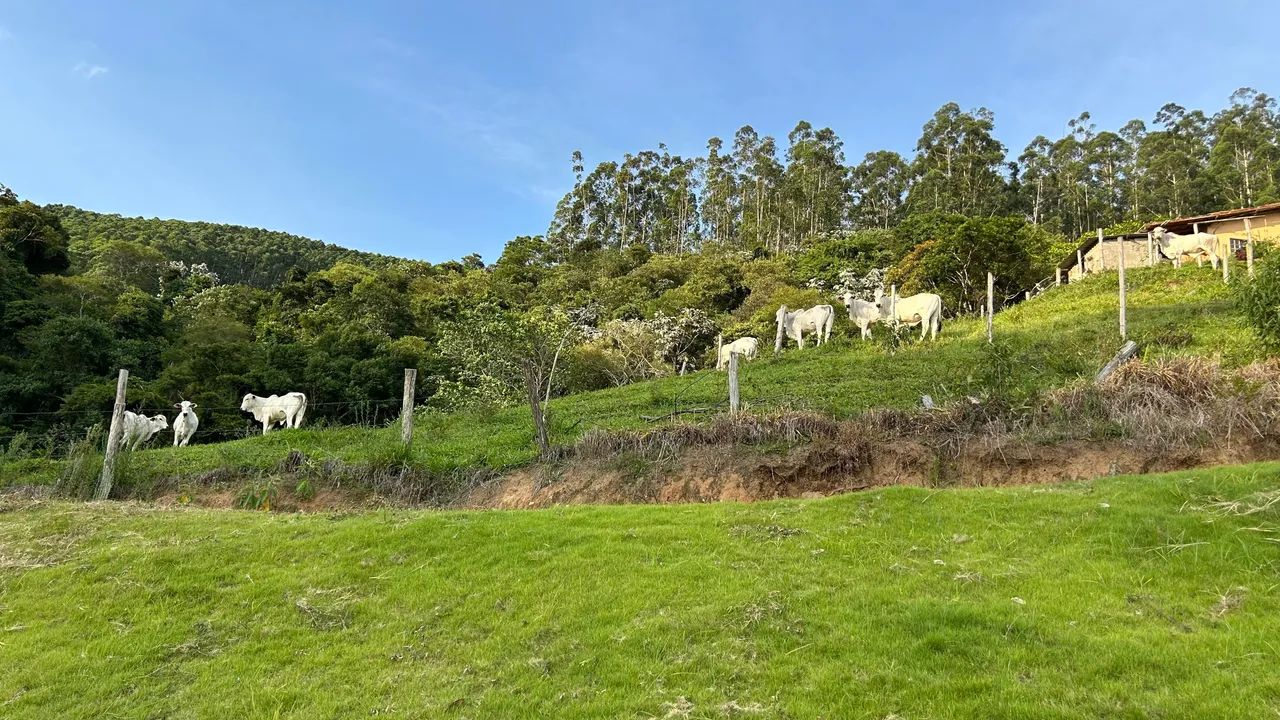 Fazenda Frente da Represa de Paraibuna. - Foto 4