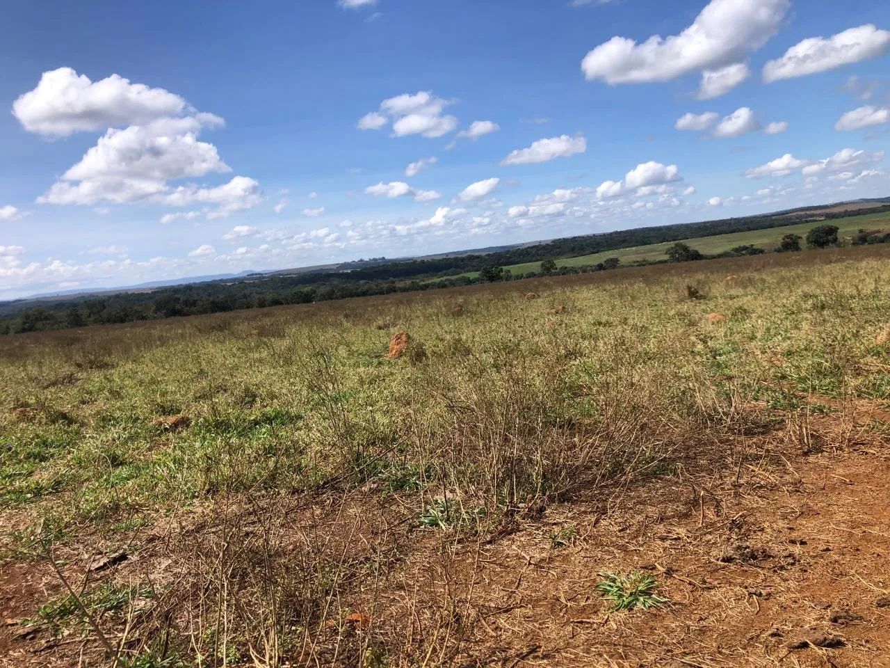 Fazenda de 35 alqueires  - Foto 4
