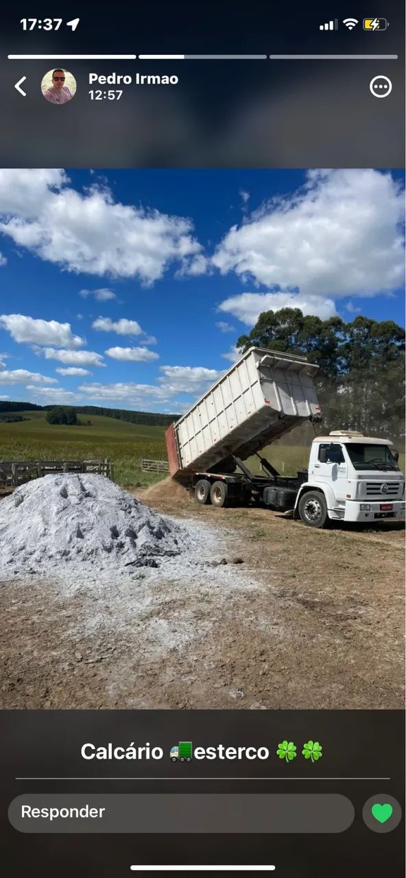 Terra vegetal esterco orgânico composto 64298580789377122