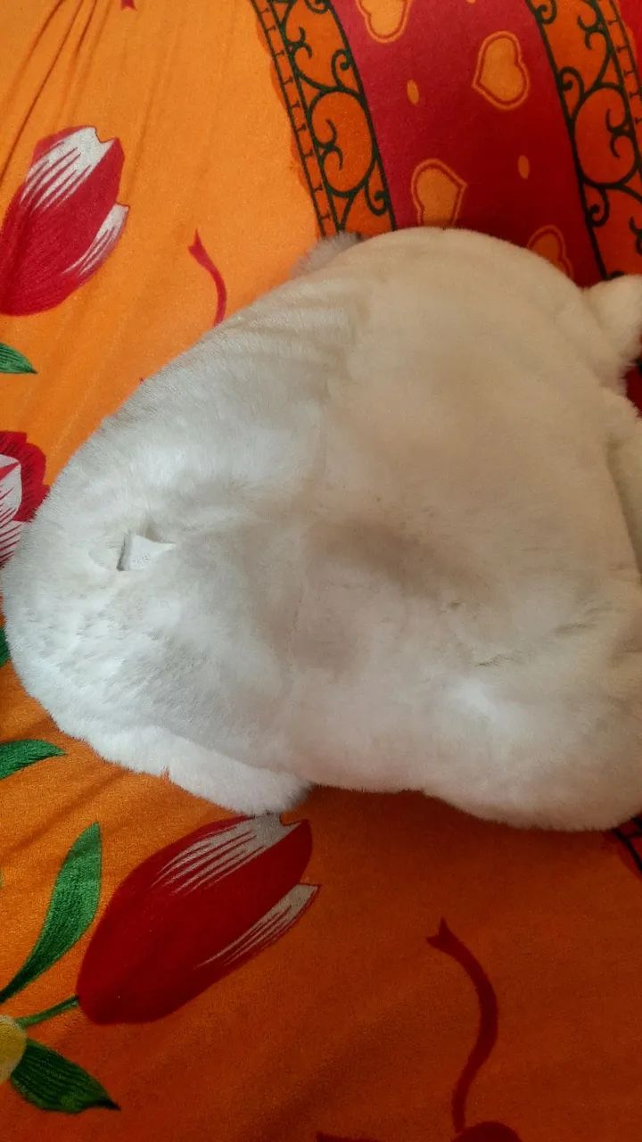 Ursinho lindo - Foto 2