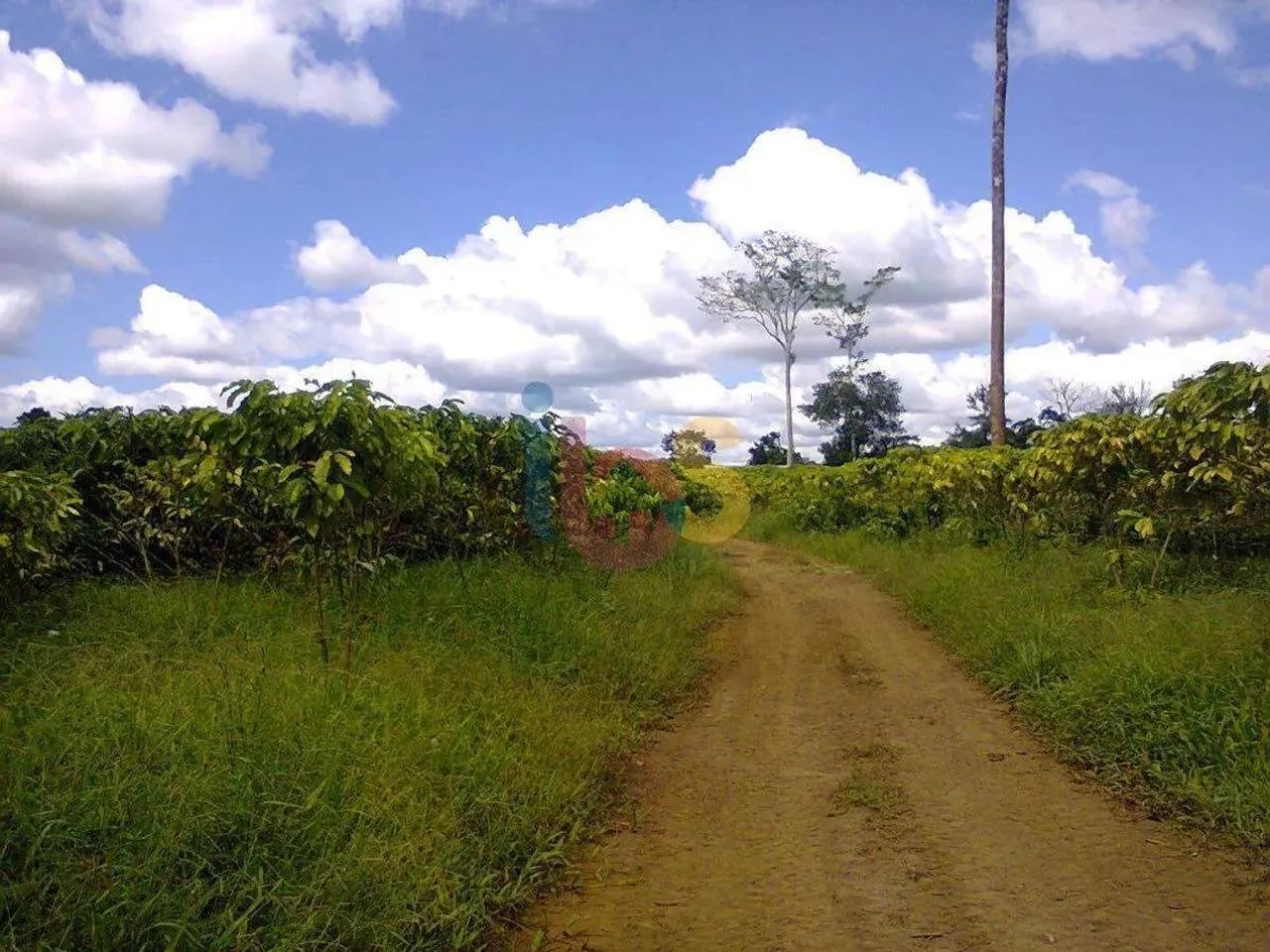 Fazenda Jueirana ll