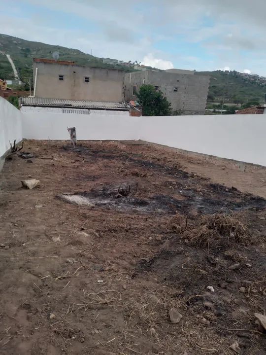Terreno 