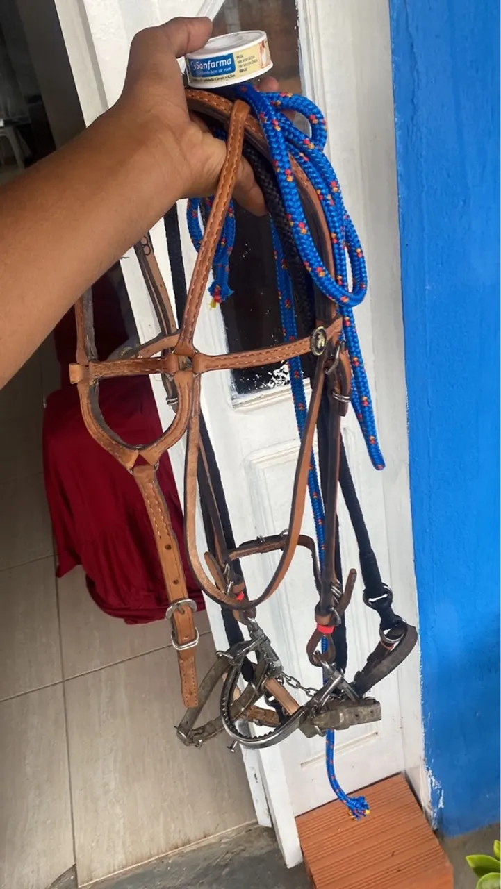 arreio de vaquejada completo novo