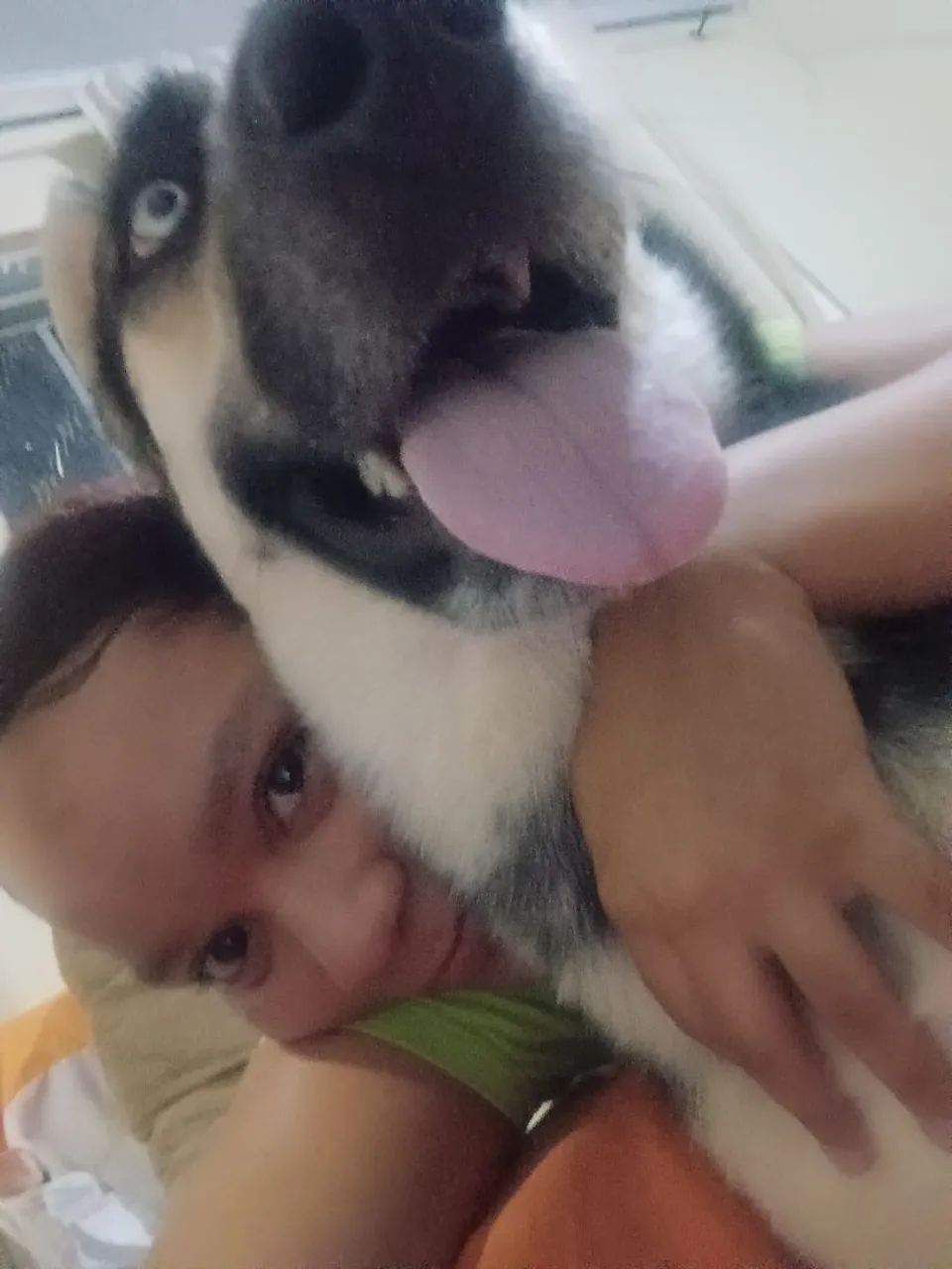 Cachorro 1ano - Foto 4