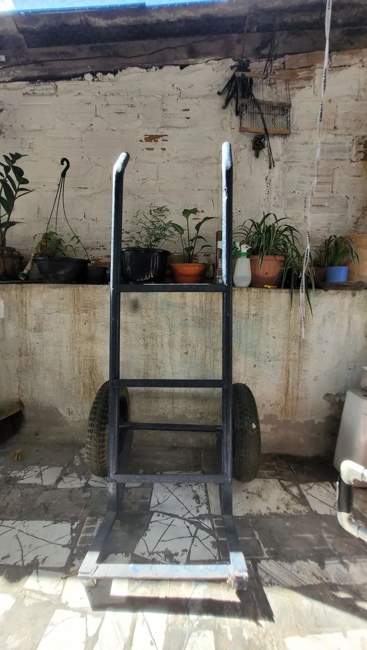 Carrinho de carga 200Kg