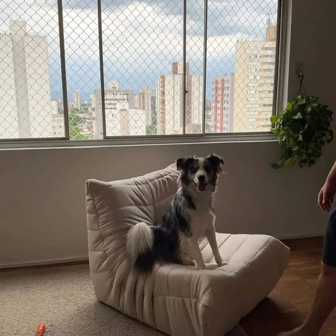 Sofa Togo Modulo 1 Lugar ( Poltrona ) 