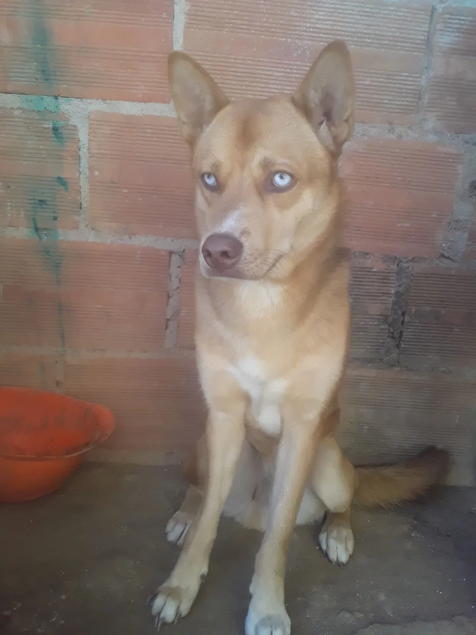 Pra venda