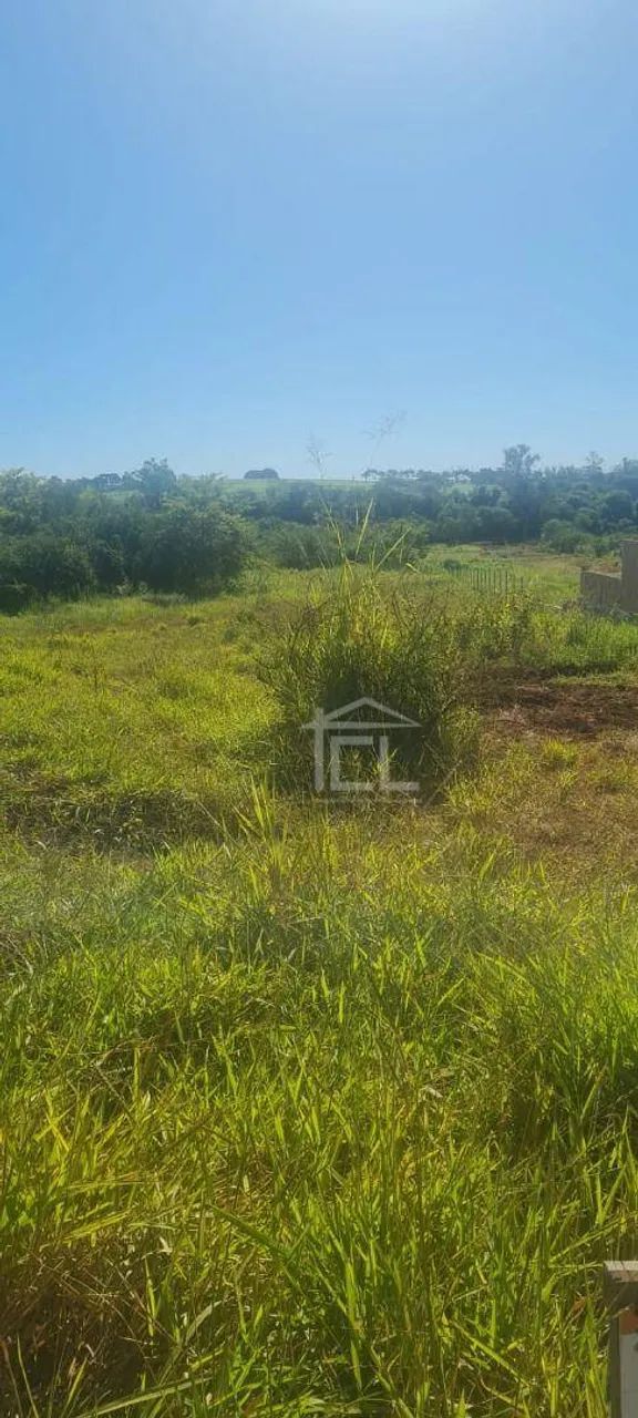 Chácara à venda, 4250 m² por R$ 370.000,00 - Centro - Jataizinho/PR - Foto 3