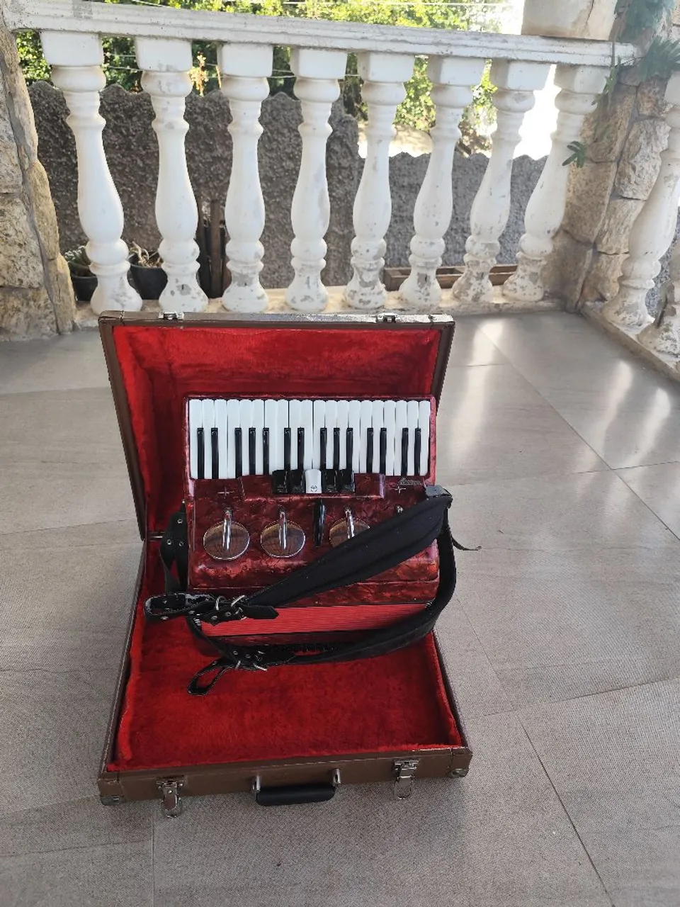 Acordeão Vintage em Excelente Estado